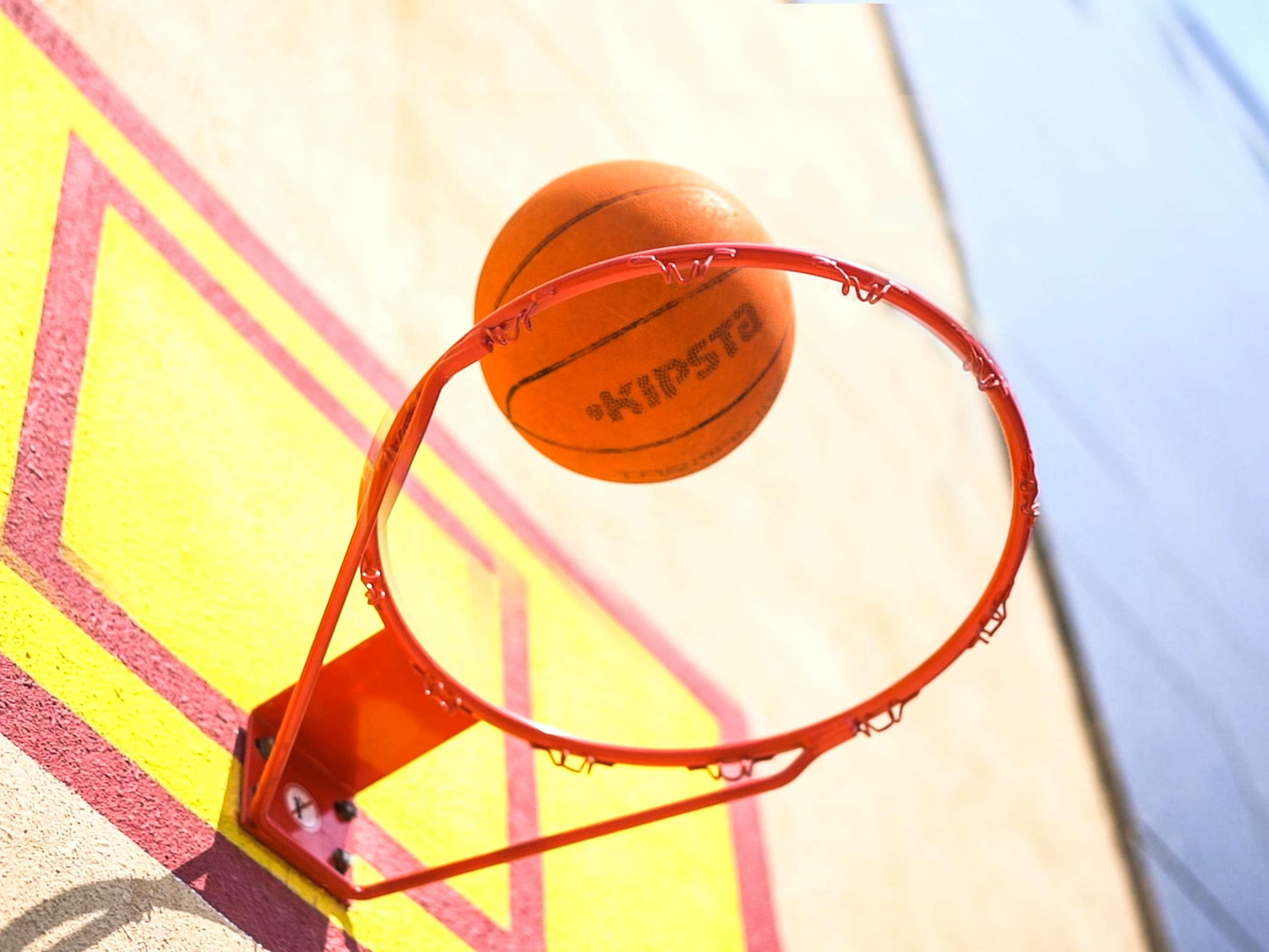 Novotel Chennai Sipcot Екстериор снимка A basketball entering a hoop