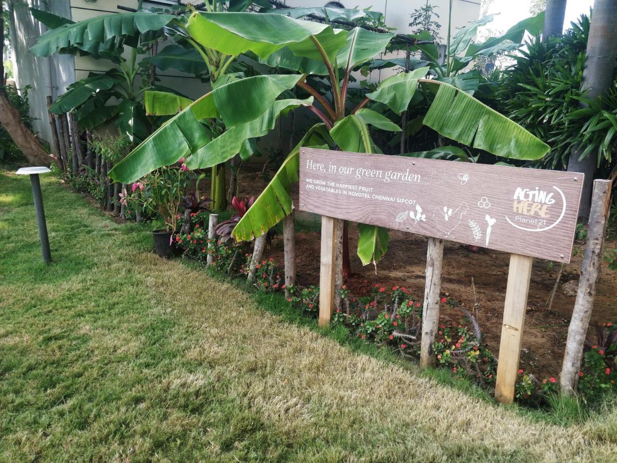 Novotel Chennai Sipcot Екстериор снимка The Edible Garden at the National Gallery Singapore